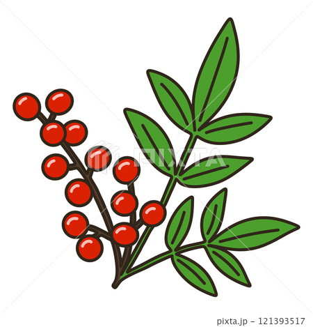 ナンテン ナンテン 121393517