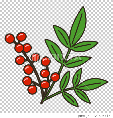 南天竹 南天竹 121393517