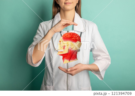 Doctor with a stethoscope is holding anatomical model human head. Help and care concept 121394709