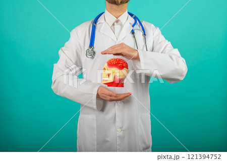 Doctor with a stethoscope is holding anatomical model human head. Help and care concept 121394752