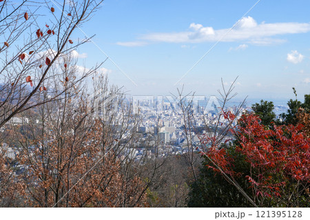神戸・六甲山系の高取山から見た紅葉の神戸市街地（2024年12月撮影） 121395128