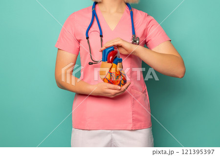 Cardiovascular disease CVD, doctor with heart human model anatomy for treatment patient in hospital. 121395397