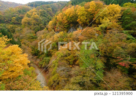 信州高山村高井橋から望む松川沿いの黄葉 信州高山村高井橋から望む松川沿いの黄葉 121395900