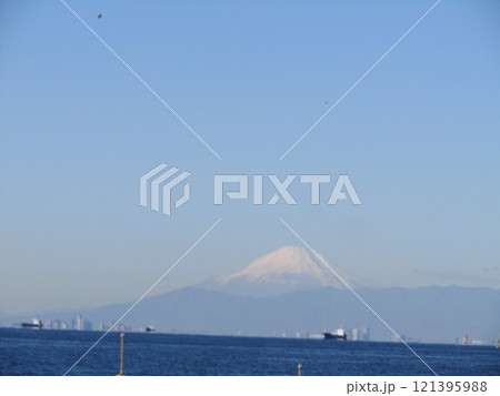 稲毛浜　海を隔てて　富士の山 121395988