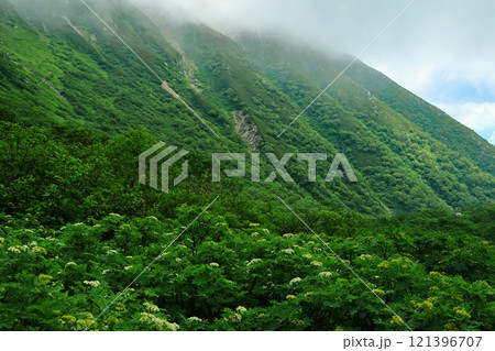 中央アルプス駒ケ岳 121396707