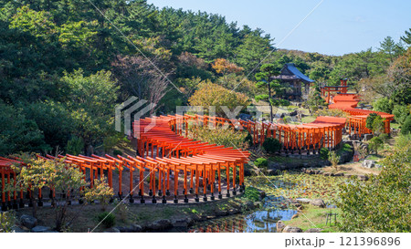 高山稲荷神社 千本鳥居と参詣道 青森県 高山稲荷神社 千本鳥居と参詣道 青森県 121396896