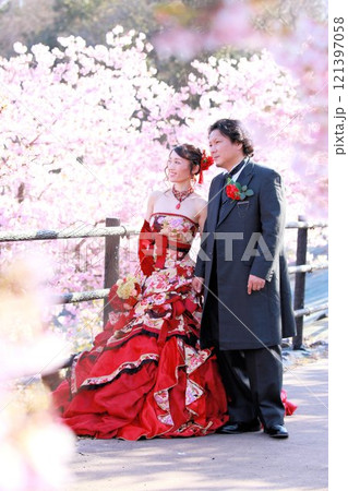 河津桜の咲く風景の中にいる着物風和柄のウエディングドレスを着た新婦様と新郎様 121397058