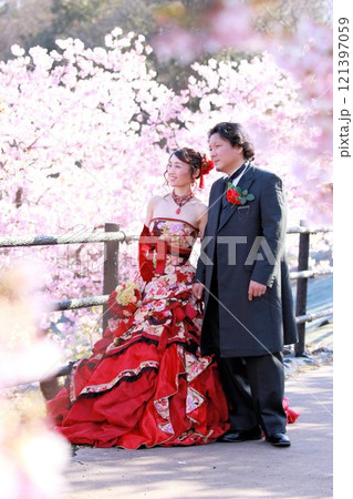 河津桜の咲く風景の中にいる着物風和柄のウエディングドレスを着た新婦様と新郎様 河津桜の咲く風景の中にいる着物風和柄のウエディングドレスを着た新婦様と新郎様 121397059
