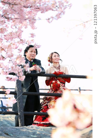 河津桜の咲く風景の中にいる着物風和柄のウエディングドレスを着た新婦様と新郎様 河津桜の咲く風景の中にいる着物風和柄のウエディングドレスを着た新婦様と新郎様 121397063