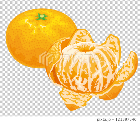 Mandarin orange  121397340