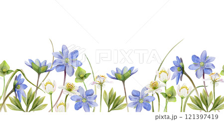 Spring ephemera flowers, white forest anemone primrose bloodroot, blue hepatica forget-me-not flax, grass, hand drawn in watercolor. Seamless banner illustration, for wedding, florist shop, stationery 121397419