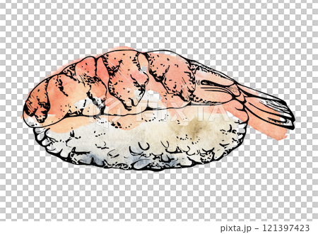 Traditional Japanese food, nigiri sushi shrimp raw fish tuna salmon, caviar topping, wasabi, unagi flakes, hand drawn in watercolor, ink. Illustration for restaurant, cafe menu, kitchen, recipe book 121397423