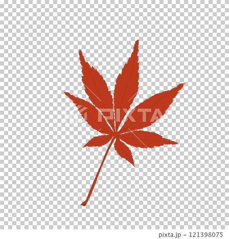 紅葉したモミジのイラストあか 紅葉したモミジのイラストあか 121398075