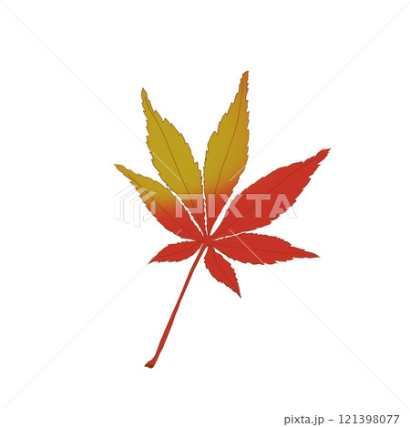 紅葉したモミジのイラストほんのり黄色 紅葉したモミジのイラストほんのり黄色 121398077