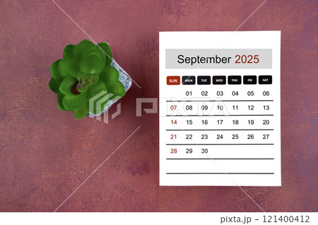 Calendar page for September 2025 and houseplant on retro background. 121400412