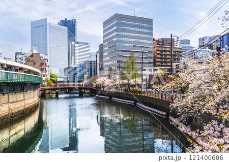 春の横浜・野毛　大岡川の桜景色【神奈川県・横浜市】 121400606