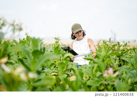 Female farmer with digital tablet on a tobacco field Female farmer with digital tablet on a tobacco field 121400638