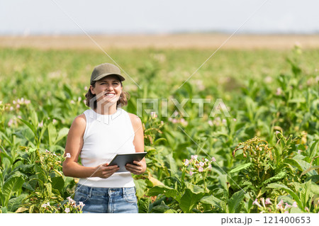 Female farmer with digital tablet on a tobacco field Female farmer with digital tablet on a tobacco field 121400653