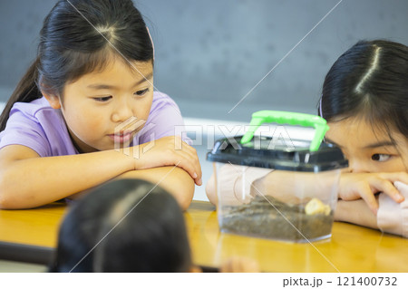 虫かごを観察する小学生　　 121400732