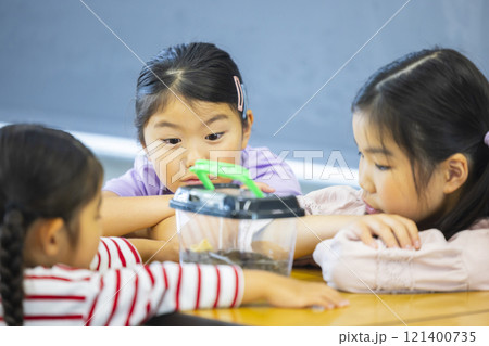 虫かごを観察する小学生　　 121400735