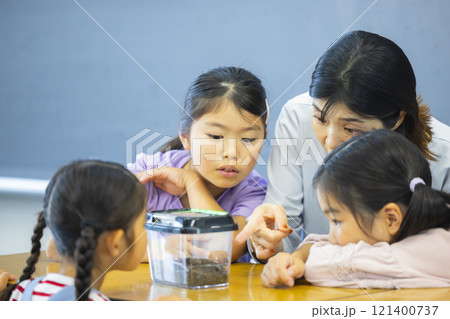虫かごを観察する小学生   虫かごを観察する小学生   121400737