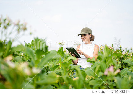 Female farmer with digital tablet on a tobacco field 121400815