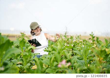 Female farmer with digital tablet on a tobacco field 121400835