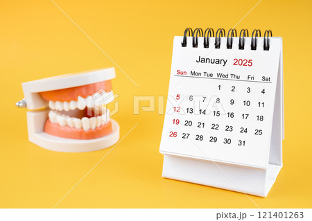 Desk calendar January 2025 and tooth model on yellow background. 121401263
