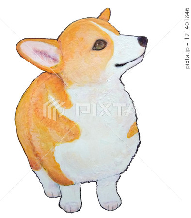 見上げるコーギーの子犬のイラスト素材 [121401846] - PIXTA