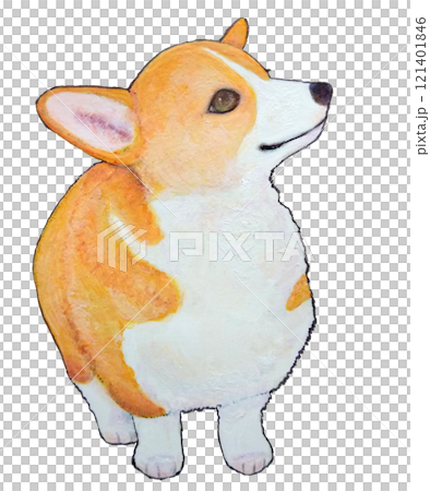 柯基犬小狗抬頭 121401846