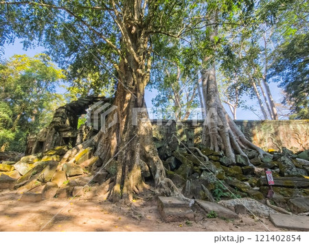 Ta Prohm Wat temple in Angkor, Cambodia 121402854