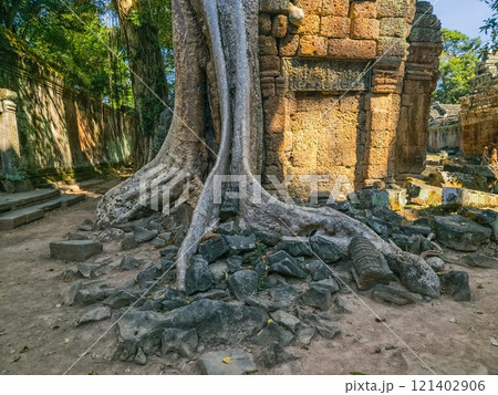 Ta Prohm Wat temple in Angkor, Cambodia Ta Prohm Wat temple in Angkor, Cambodia 121402906