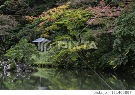 紅葉が美しい兼六園の初冬 121403897