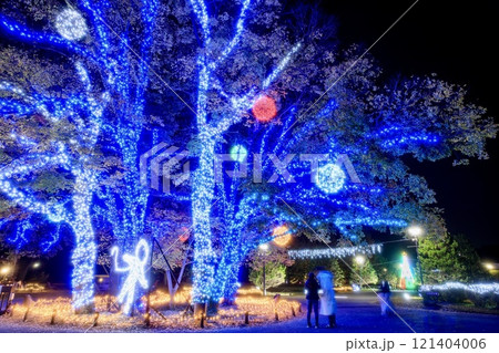 一宮市、138タワーパークのウインターイルミ2024 一宮市、138タワーパークのウインターイルミ2024 121404006
