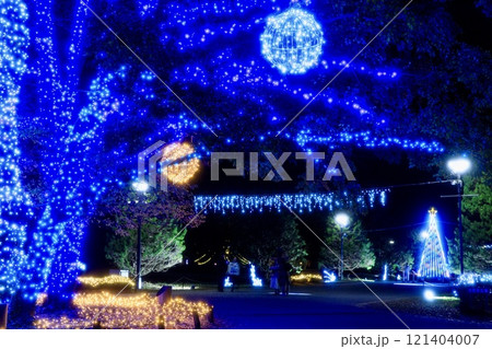 一宮市、138タワーパークのウインターイルミ2024 121404007