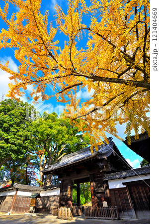 《愛知県》名古屋都市風景　秋の徳川園　黒門 121404669