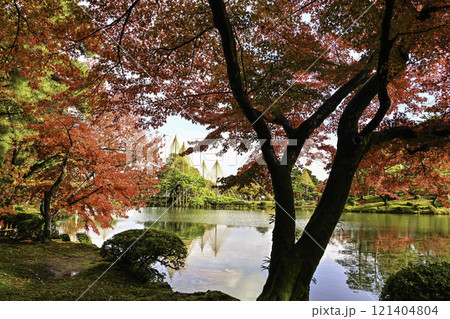 雨に濡れた紅葉が美しい兼六園 121404804