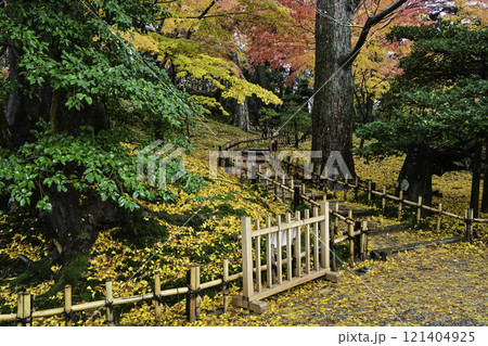 紅葉が美しい兼六園 紅葉が美しい兼六園 121404925