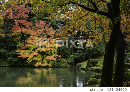 紅葉が美しい兼六園 121404960