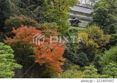 金沢城玉泉院丸庭園の紅葉 金沢城玉泉院丸庭園の紅葉 121405007