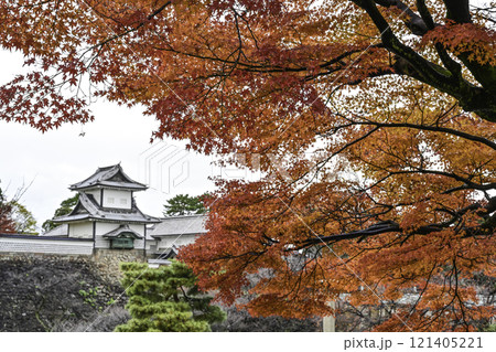 美しい紅葉が広がる金沢城公園 美しい紅葉が広がる金沢城公園 121405221