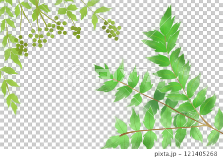 Card of Japanese pepper leaves and fruit 121405268