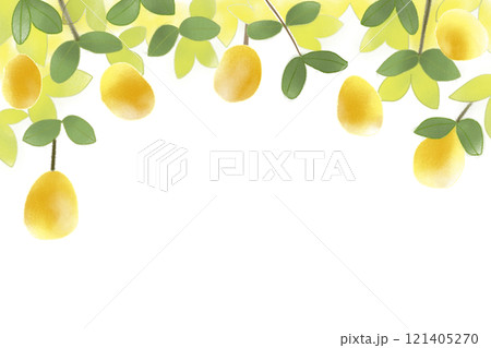 花梨の実のカード 121405270