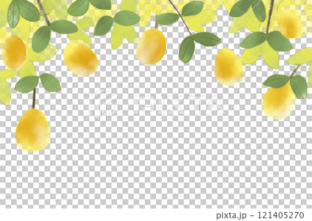 花梨の実のカード 121405270