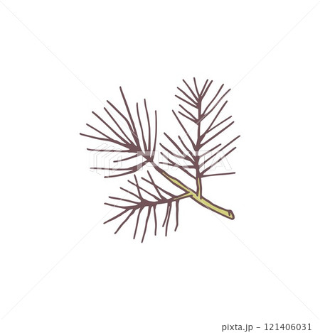 Pine tree branch flat icon, fir plant, cedar twig, Christmas wood, natural coniferous forest fragrance, spruce flavor 121406031