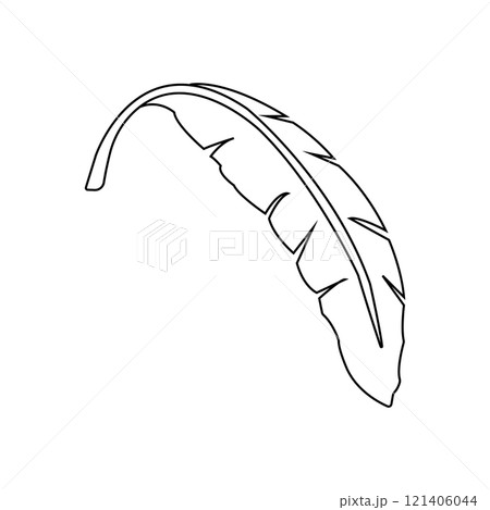 banana leaf design 121406044