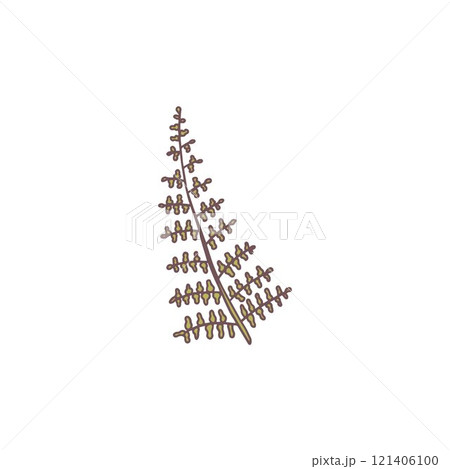 Fern plant leaf vector flat icon, tropical leaves, fragrance seasoning grass, natural aromatic condiment, farm wild herb 121406100