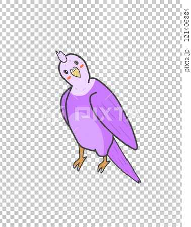 Parakeet (purple) Parakeet (purple) 121406884