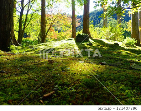 苔のある風景（古峰神社） 121407290