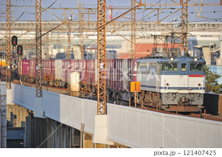 武蔵野線　西浦和ー北朝霞　JR貨物　EF65-2081（新鶴見） 121407425